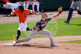 Braves Tigers Spring Baseball
