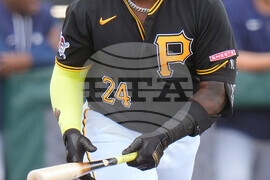 Rays Pirates Baseball