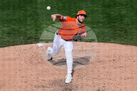 Braves Tigers Spring Baseball