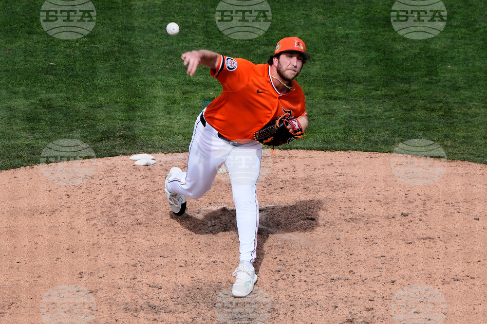 Braves Tigers Spring Baseball