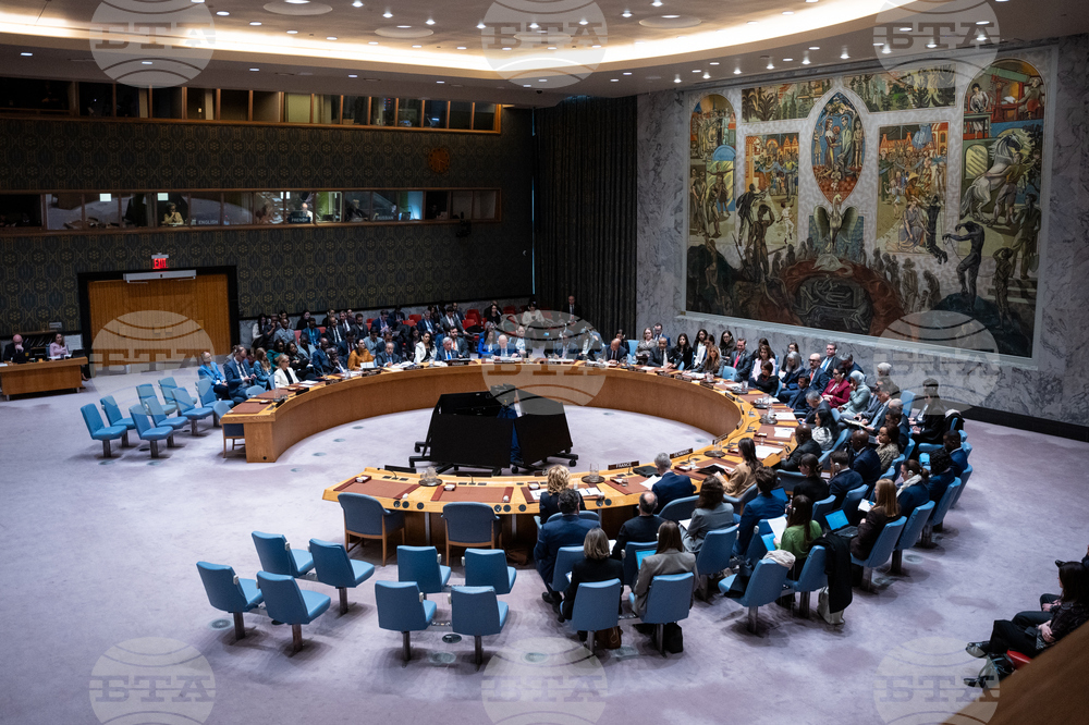 UN Security Council