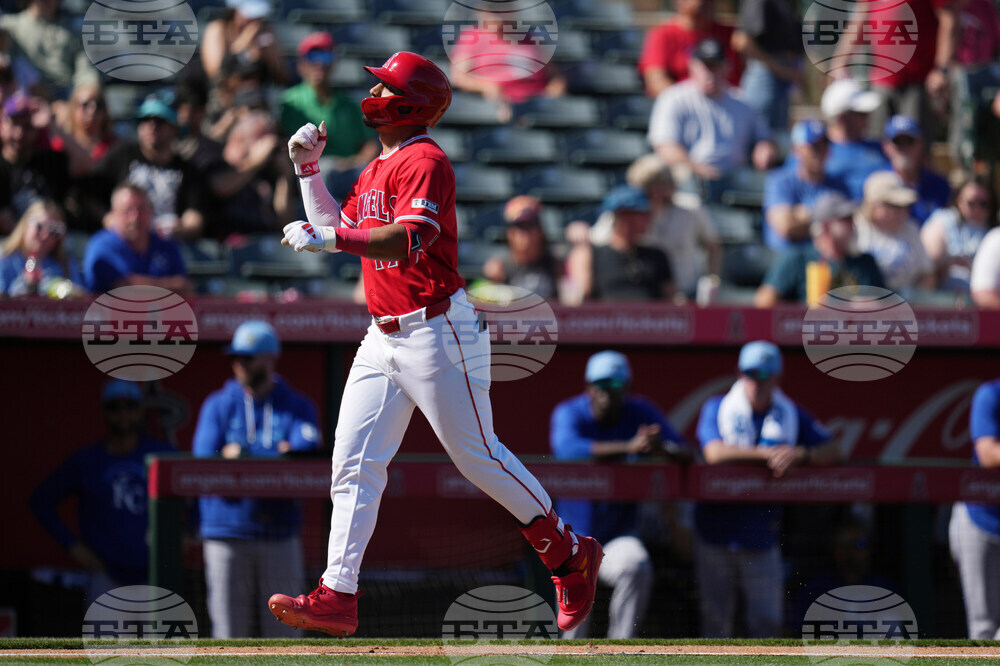 Royals Angels Spring Baseball