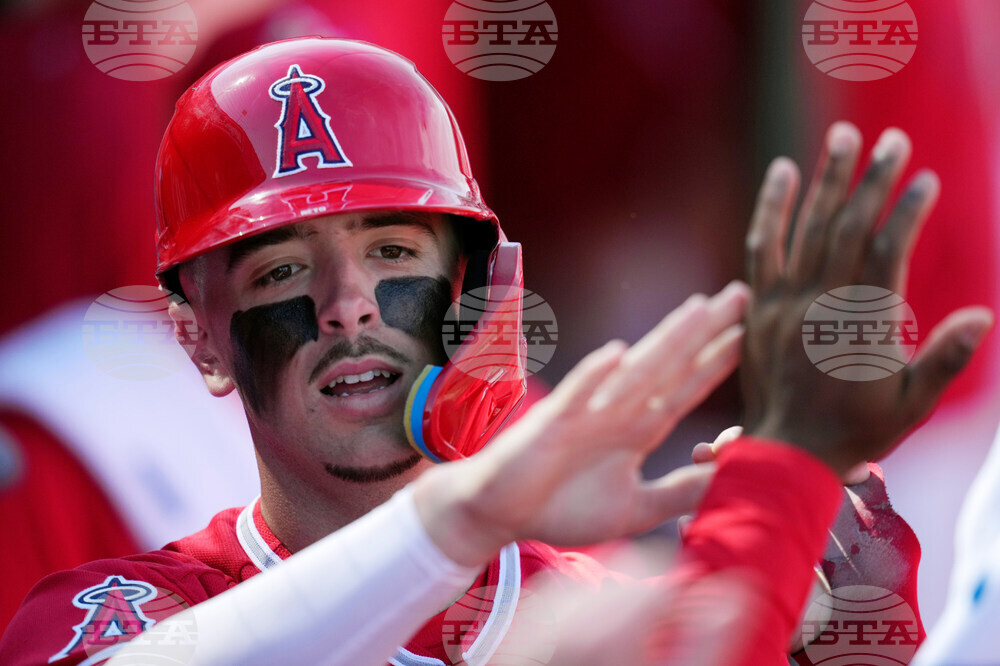 Royals Angels Spring Baseball