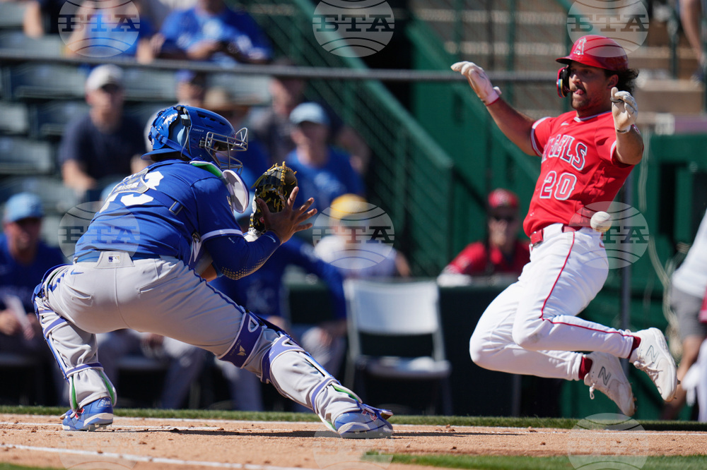 Royals Angels Spring Baseball