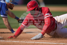 Royals Angels Spring Baseball
