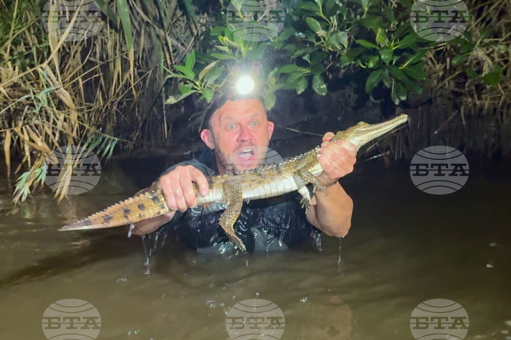 Australia Crocodile