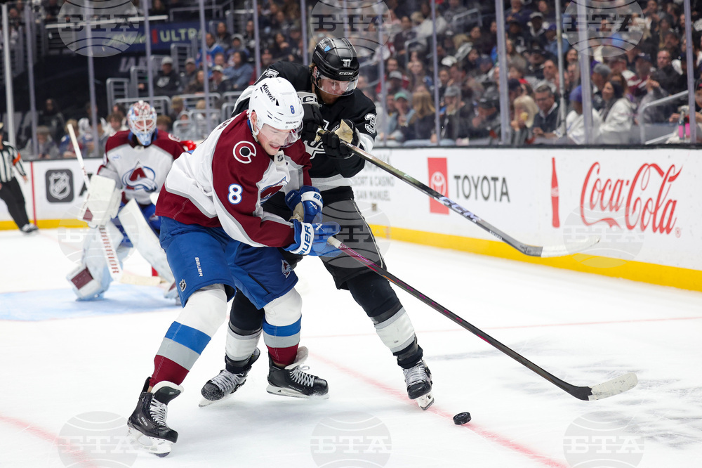 Avalanche Kings Hockey