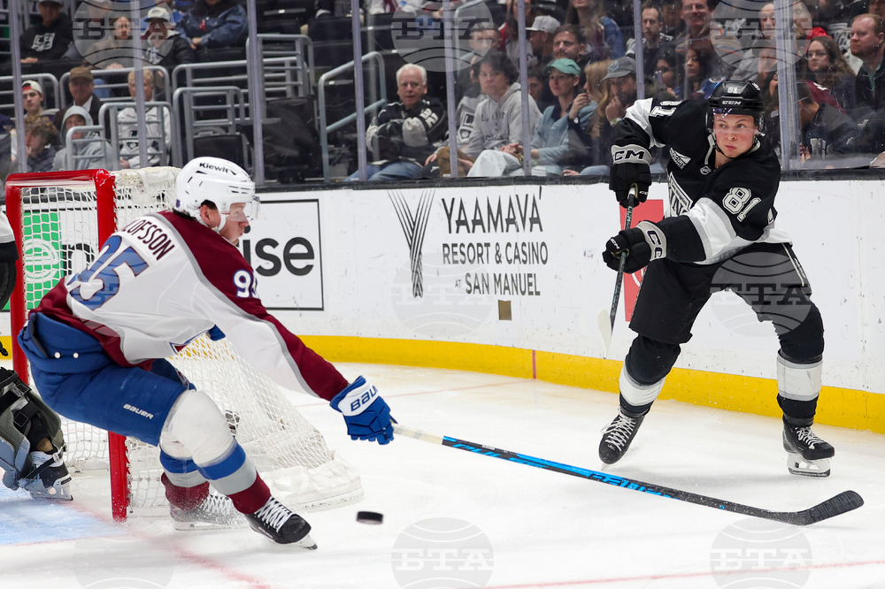 Avalanche Kings Hockey