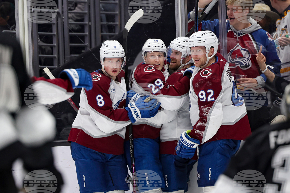 Avalanche Kings Hockey