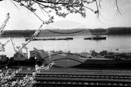 Пролет край Дунав