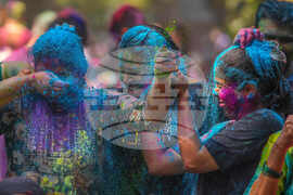 India Holi Festival