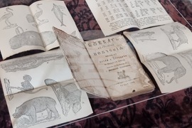 Свиленград - Рибен буквар 