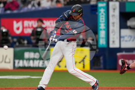 WBC Japan Baseball