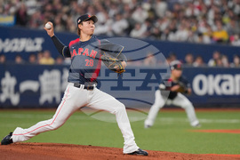 WBC Japan Baseball