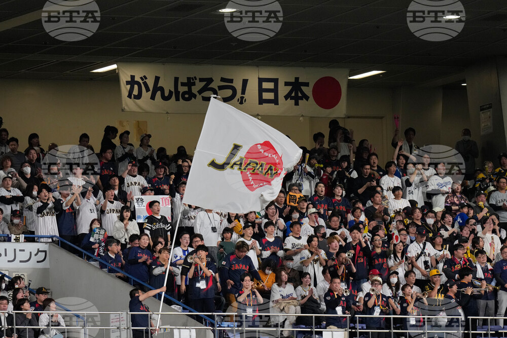 WBC Japan Baseball