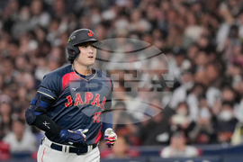 WBC Japan Baseball