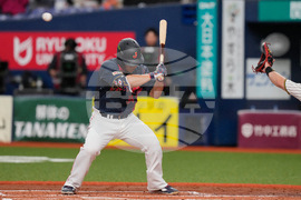 WBC Japan Baseball
