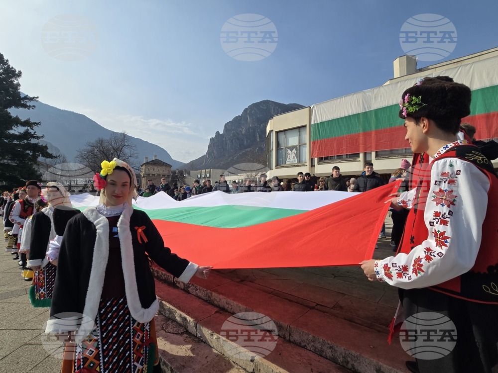 Враца - Трети март - честване