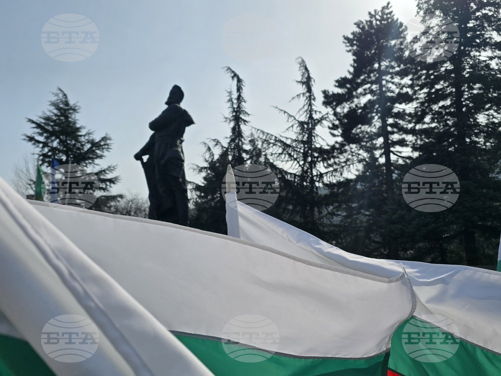 Враца - Трети март - честване