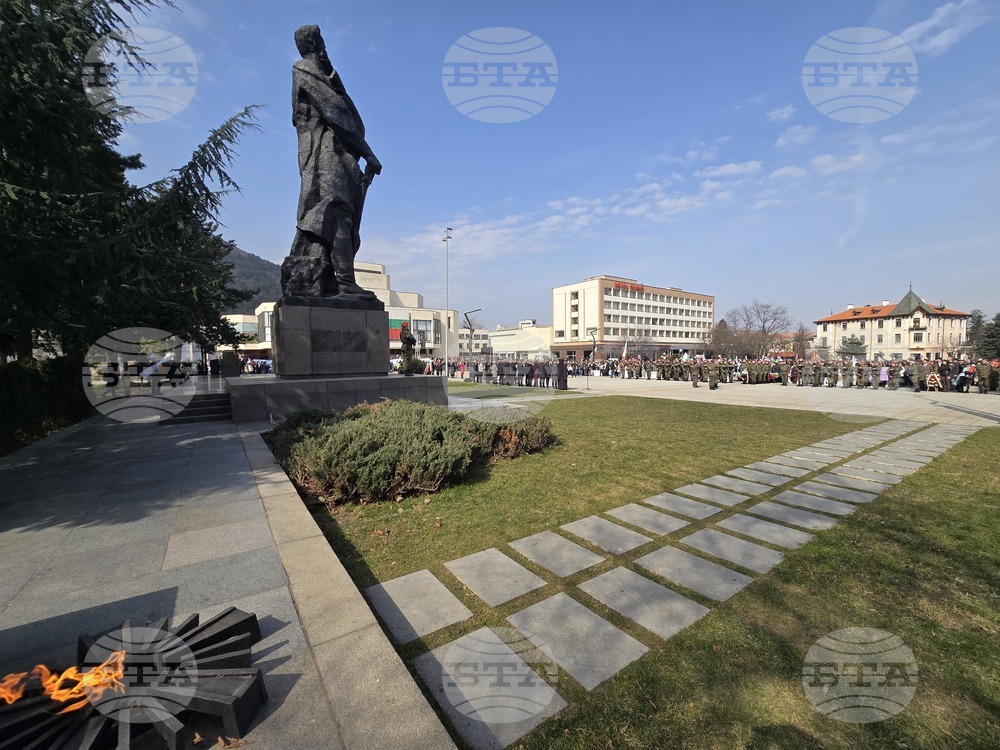 Враца - Трети март - честване