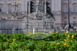 Britain Epstein Protest