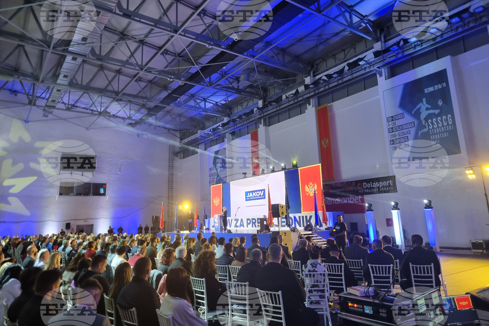 Черна гора - избори