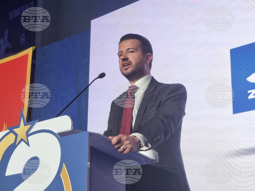 Черна гора - избори