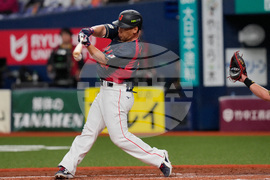 WBC Japan Baseball