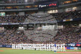 WBC Japan Baseball
