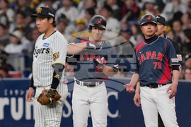 WBC Japan Baseball