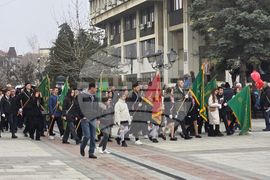 Видин - Трети март - честване