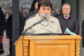 Видин - Трети март - честване