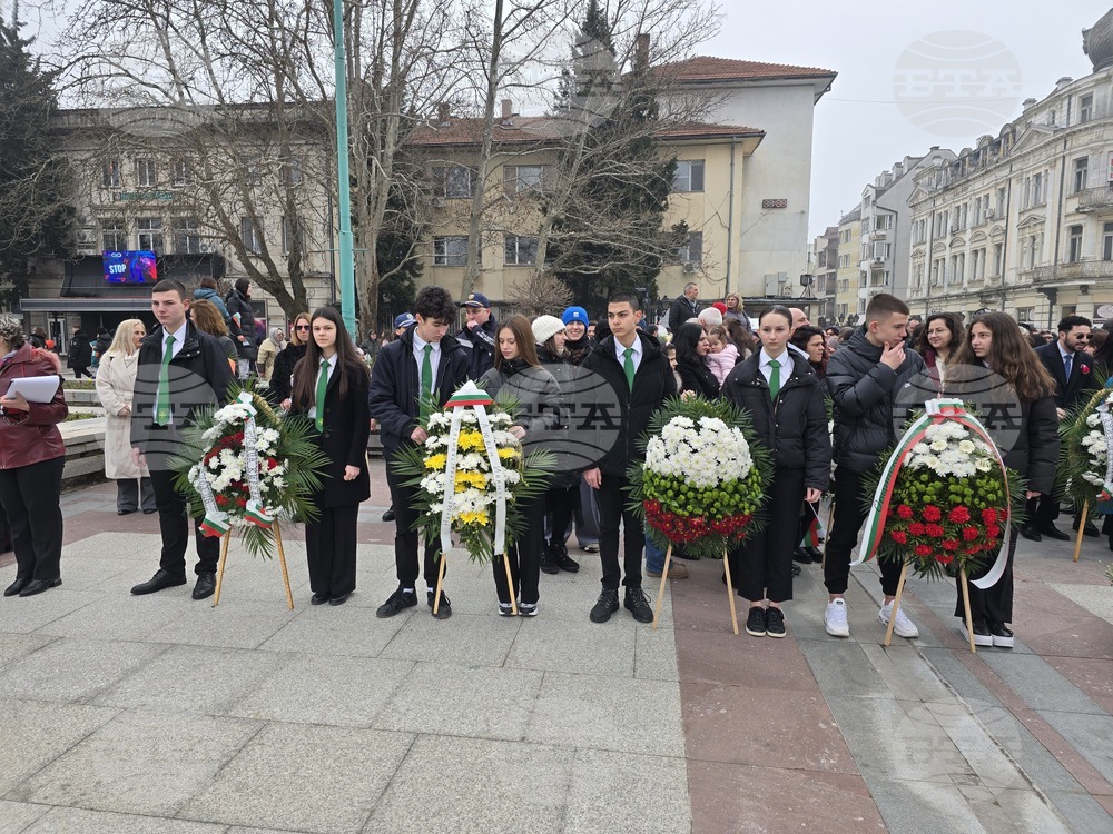 Видин - Трети март - честване