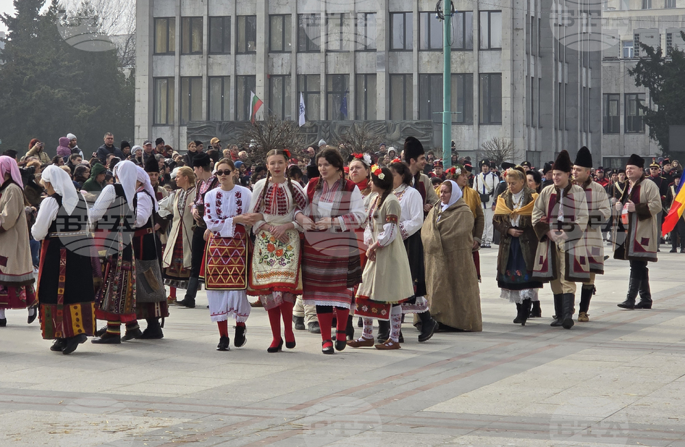 Видин - Трети март - честване