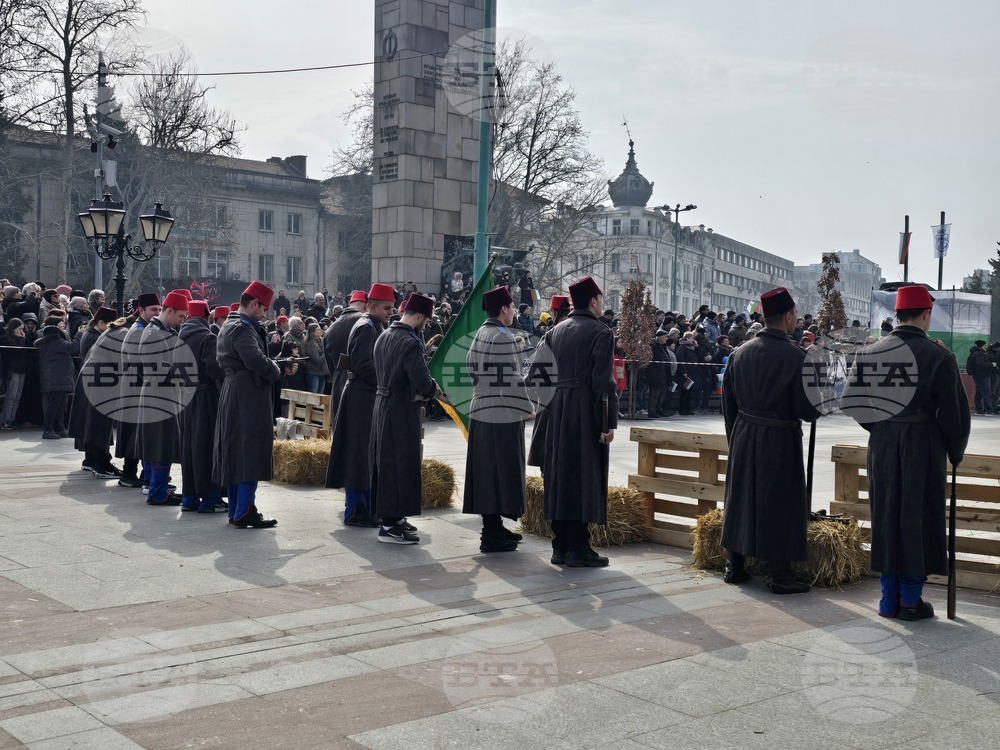 Видин - Трети март - честване