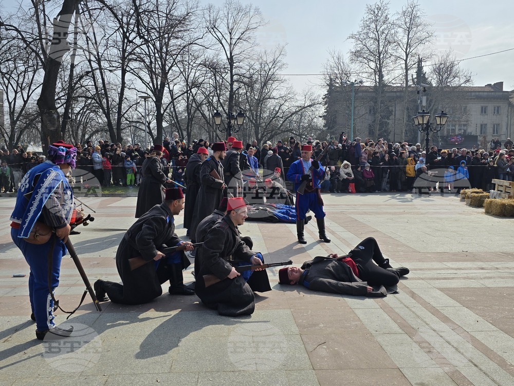 Видин - Трети март - честване