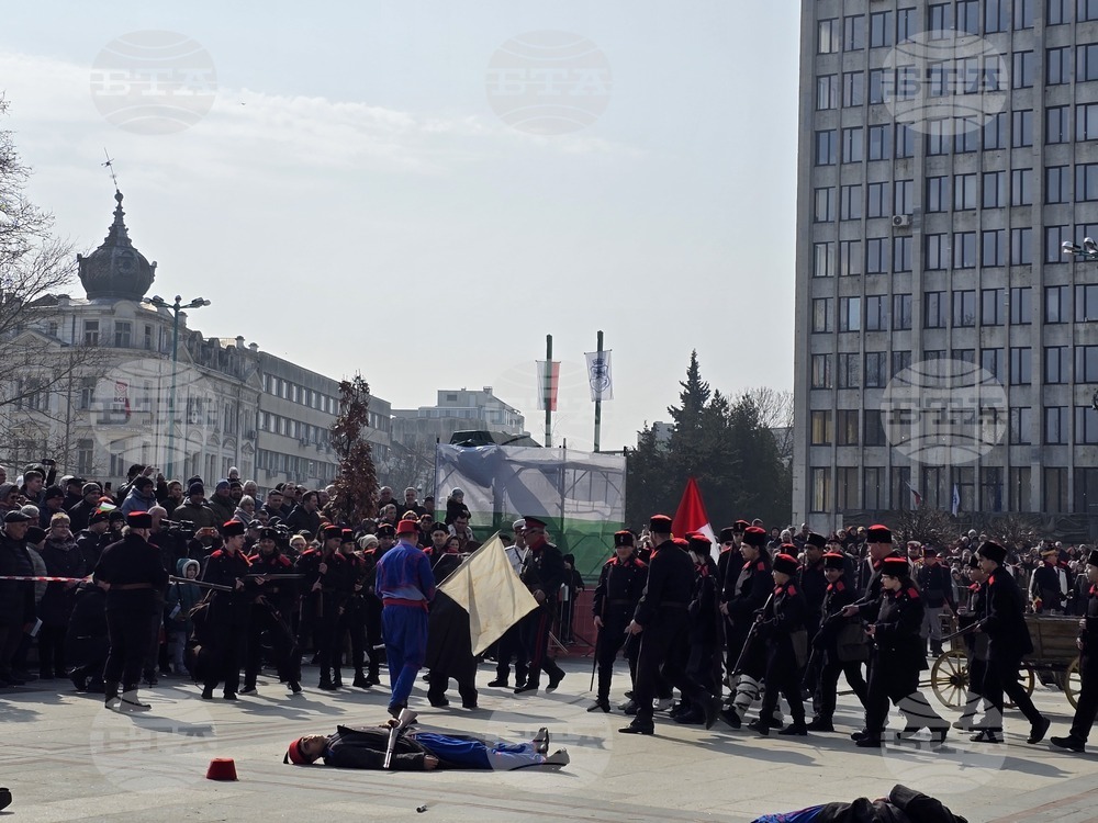 Видин - Трети март - честване