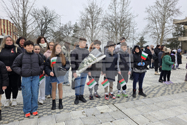 Свищов - Трети март - честване