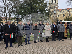 Свищов - Трети март - честване