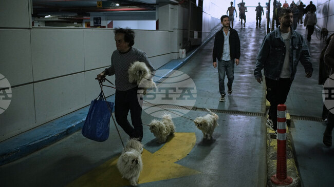 Израел издаде ново предупреждение за опити на иранските служби за вербуване на израелски граждани чрез социалните мрежи 