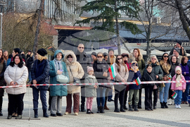 Монтана - Трети март - честване