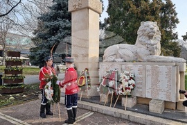 Монтана - Трети март - честване