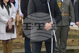 Монтана - Трети март - честване