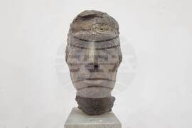 Силистра - Георги Жеков - изложба