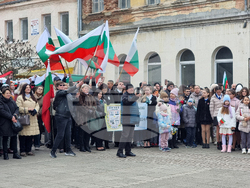 Лом - 3 март - честване