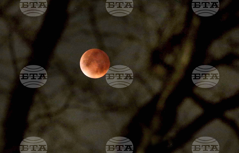 Blood Moon Eclipse
