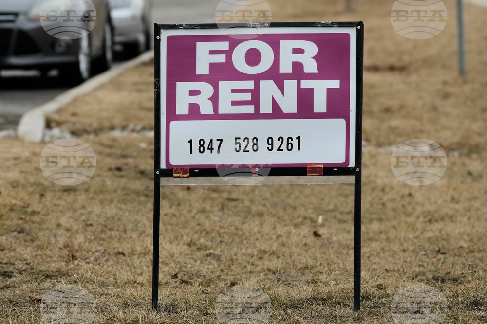 Apartment Rentals