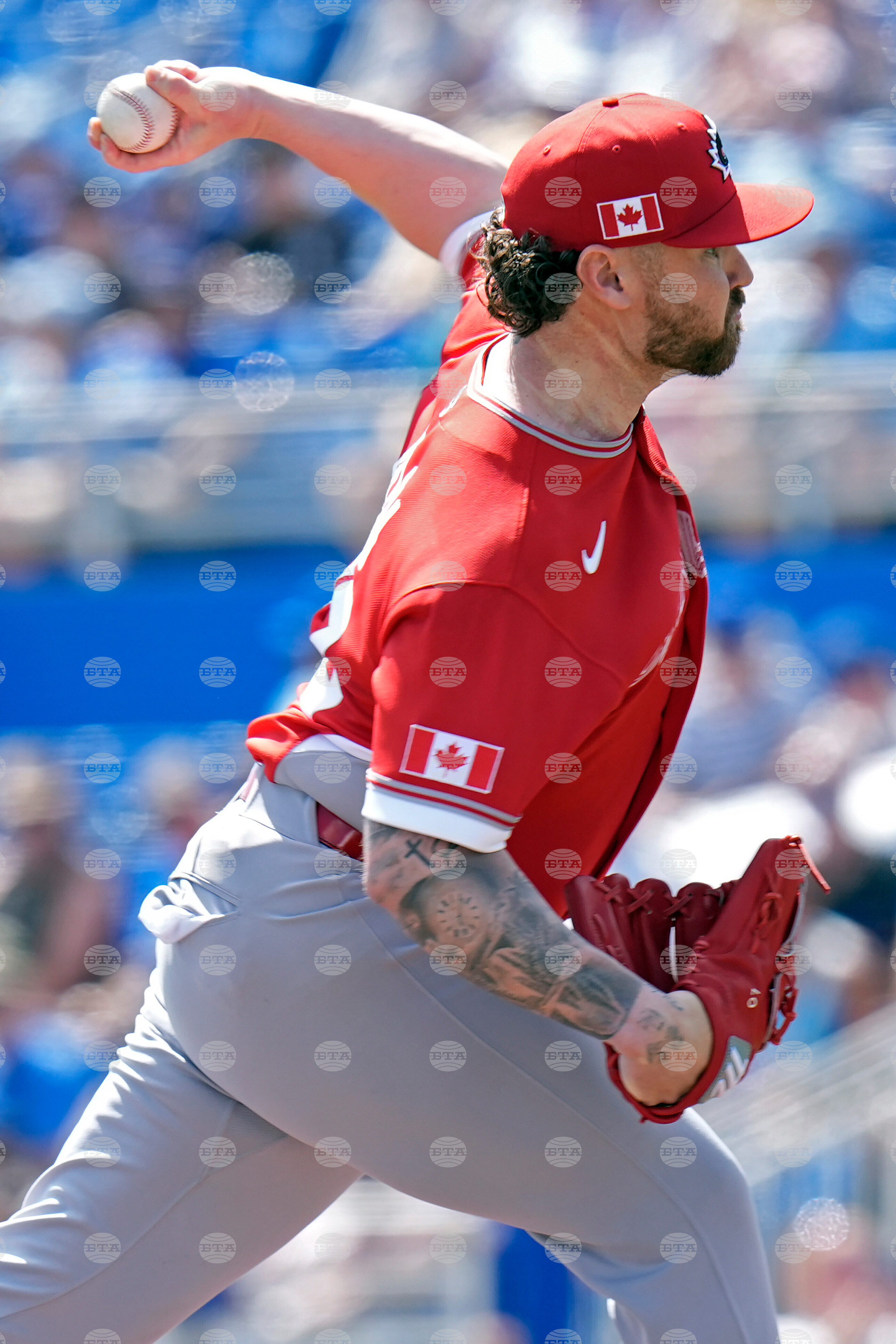 Canada Blue Jays Baseball