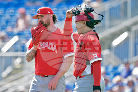 Canada Blue Jays Baseball