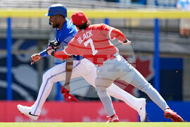Canada Blue Jays Baseball